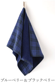 �{�^�j�J���E�_�C�V���[�Y�@�}���E