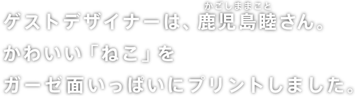 QXgfUCi[́Arir܂܂ƁjB킢u˂vK[[ʂςɃvg܂B