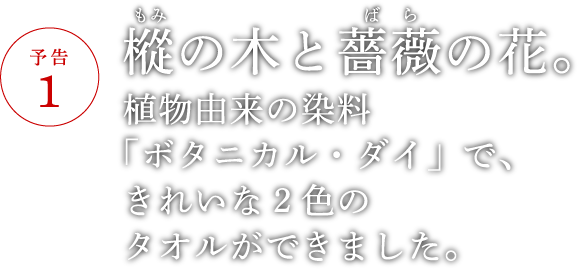 樅の木と薔薇の花。