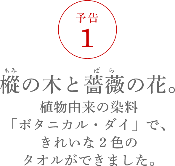 樅の木と薔薇の花。