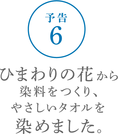 ひまわりの花から染料をつくり、やさしいタオルを染めました。