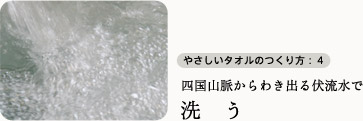 四国山脈からわき出る伏流水で洗う 四国山脈からわき出る伏流水で洗う