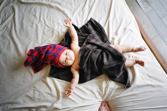 ����q�����ƃ^�I��