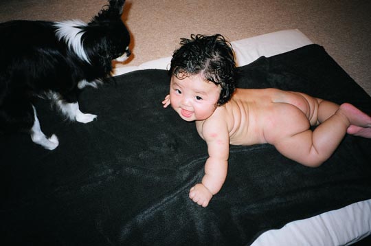 ����q�����ƃ^�I��