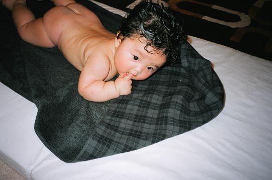 ����q�����ƃ^�I��