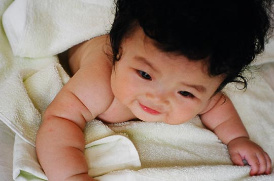 ����q�����ƃ^�I��