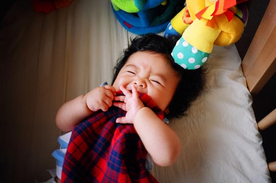 ����q�����ƃ^�I��