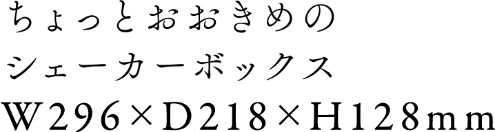 ちょっとおおきめのシェーカーボックス W296 x D218 x H128mm