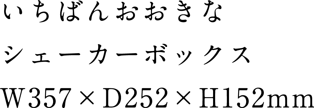 いちばんおおきなシェーカーボックス W357 x D252 x H152mm