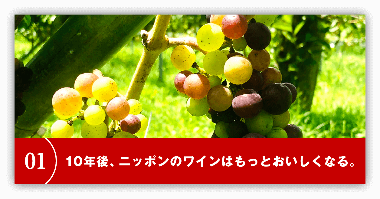 10年後、ニッポンのワインはもっとおいしくなる。