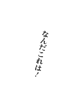 なんだこれは！