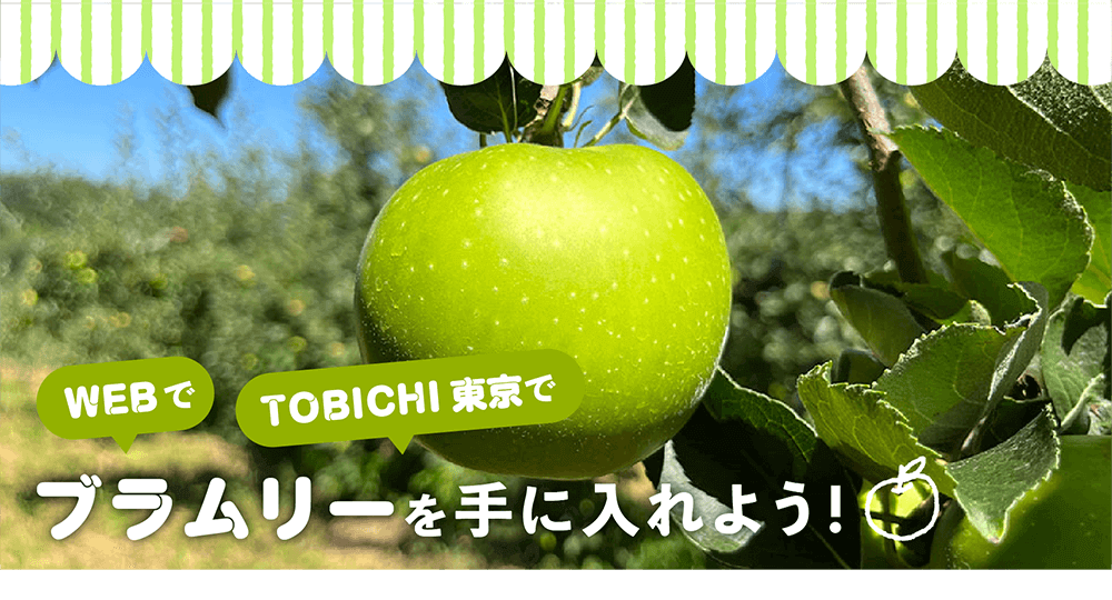 WEBŁATOBICHIŁAu[ɓ悤I