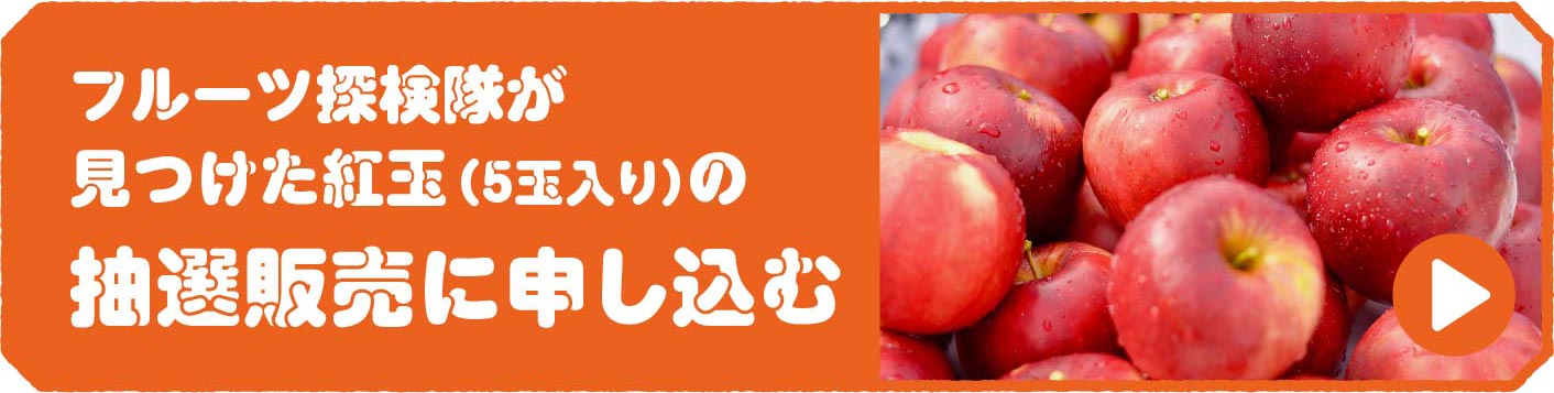 t[cTgʁiTʓj̒I̔ɐ\