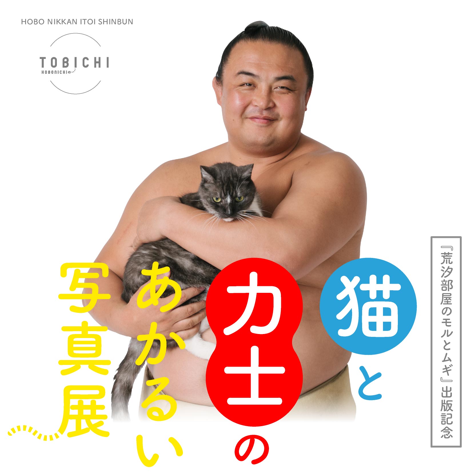 荒汐部屋のモルとムギ 出版記念 猫と力士のあかるい写真展 ほぼ日刊イトイ新聞