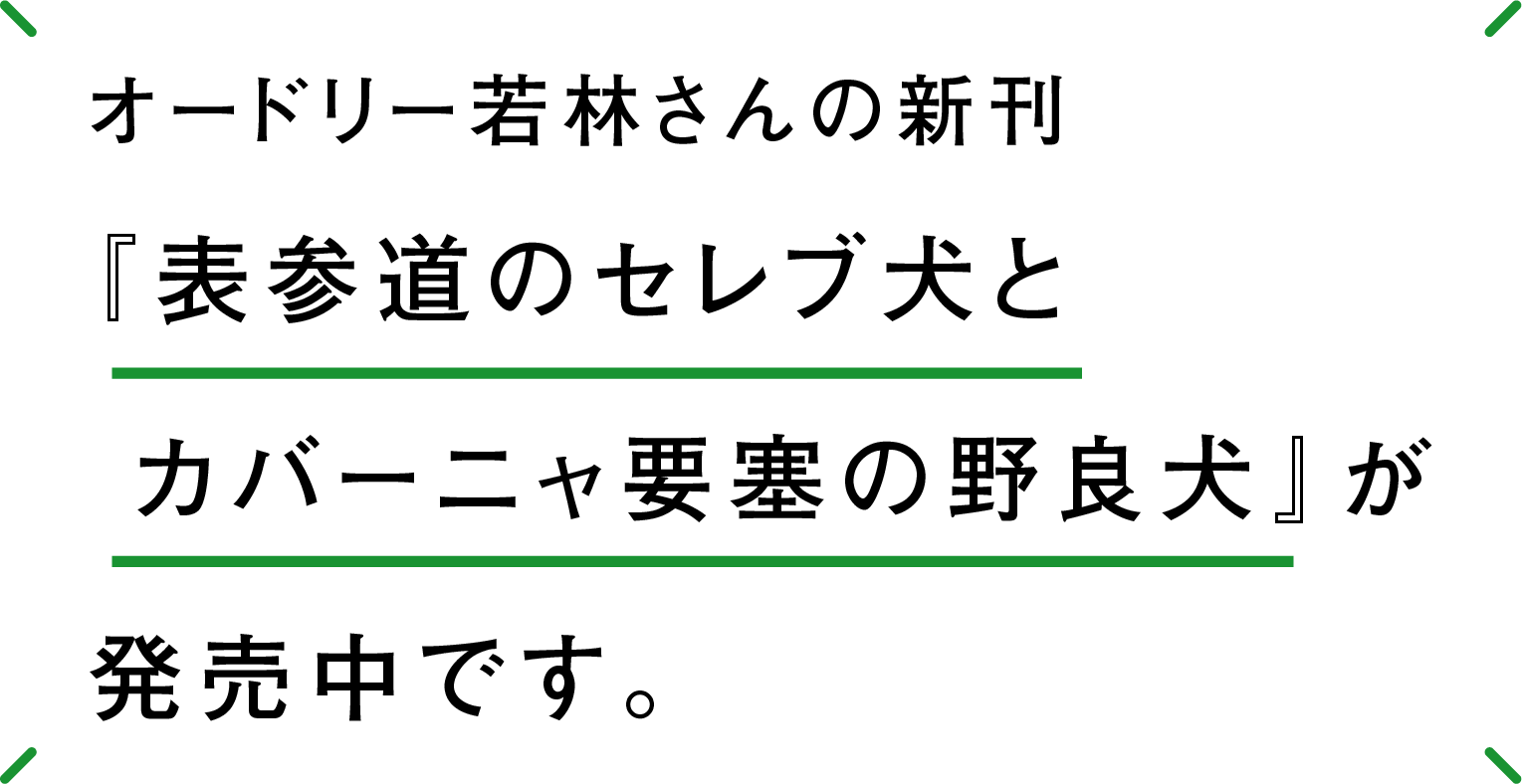 オードリー若林さんの新刊『表参道のセレブ犬とカバーニャ要塞の野良犬』が発売中です。