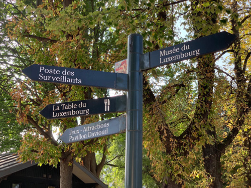 ほぼ日刊イトイ新聞 バブー とのまりこのパリこれ