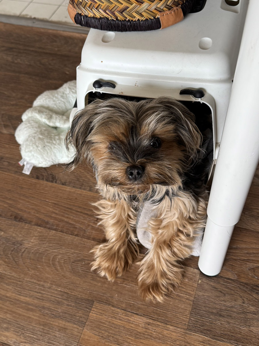 SOLD OUT ☆パリの雑貨とファッション  とのまりこ SOLD OUT ☆パリの雑貨とファッション とのまりこ SOLD OUT ☆パリの