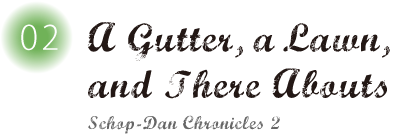 A Gutter, a Lawn, and There Abouts: Schop-Dan Chronicles 2