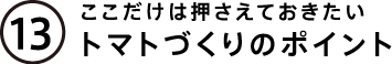 ここだけは押さえておきたい　トマトづくりのポイント