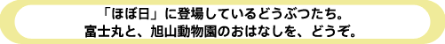 メジャーリーグで活躍中! 桑田投手とイチロー選手の話をどうぞ。 「ほぼ日」に登場しているどうぶつたち。 富士丸と、旭山動物園のおはなしを、どうぞ。