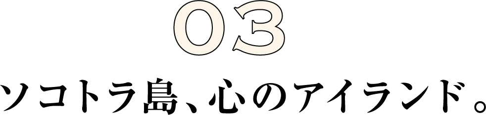 ソコトラ島、心のアイランド。