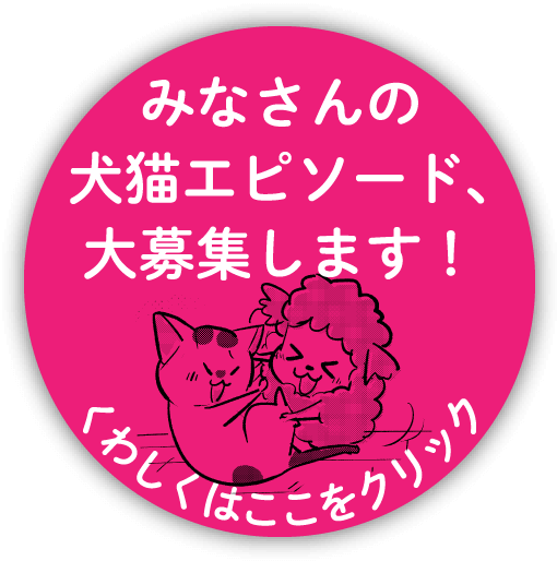 みなさんの犬猫エピソード、大募集します!くわしくはここをクリック