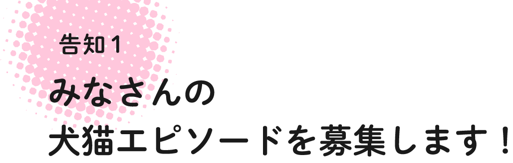 告知1 みなさんの犬猫エピソードを募集します!
