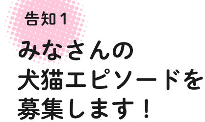 告知1 みなさんの犬猫エピソードを募集します!